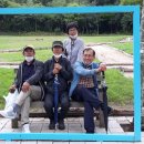 농업회사법인 허브 주식회사 이미지