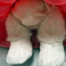 연지 | 테디테일즈 한복에디션 커플세트 S 연지&amp;청운 내돈내산 후기