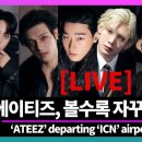 조각미인 이미지