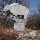 김천목장 이미지