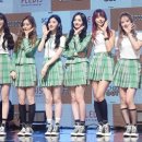 위라이크아트