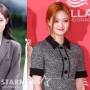 솜이랑 이미지
