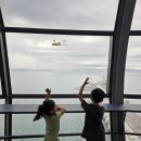 GS25검단아이원점 | 대부도 1박2일 아이랑, 비로 첫날 오후 날리고 아침 7시 갯벌에서 건진 코스