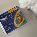 온누리시민약국 이미지