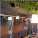 싱싱갈비