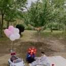 뚜비농장 이미지