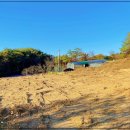 수목원농장 이미지