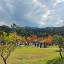 거대김밥 | 2025 김천 김밥축제 12개월 아기랑 토요일 오픈런 다녀온 후기
