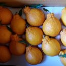 상예동-7 이미지