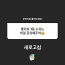 인스 이미지