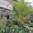 전영농장 이미지