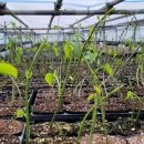 담비농장 이미지