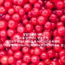 평택미에로 이미지