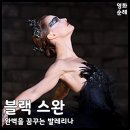 꿈꾸는 발레리나 | [스릴러 영화 추천] 완벽을 꿈꾸는 발레리나, 영화 &lt;블랙 스완&gt; 리뷰/후기/결말/해석