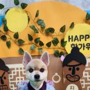 멍발소 이미지