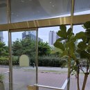 다온 | 다온동물병원/수영구 동물병원 추전/다온 동물병원 후기/대연동 다온 동물병원