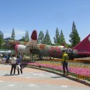 행주산성 + 일산호수공원 꽃축제 - 2 이미지