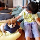 멍이와 쿤이 이미지