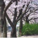 사리울삼거리 이미지