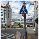 메디팜성심약국 이미지