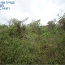 신평보건진료소 이미지