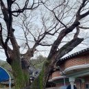 구례진달래집 이미지