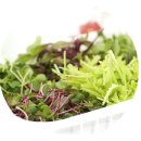 맛나농원