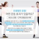 점핑스타다이어트핏클럽 네이버블로그