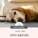 청학동물병원 이미지