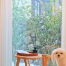 하도 생각나 이미지