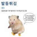 경북대학교 수사과학대학원 이미지