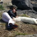 팔도민박 이미지