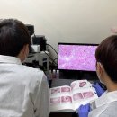 정도축산 이미지