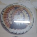 소라고래집 이미지