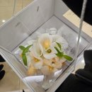 이마트24 의정부경민점 | 의정부 부케말리기 리부케 기프트 오에르 스튜디오 무드등 내돈내산 후기