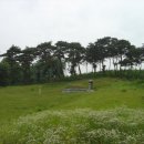 정원용 묘 이미지