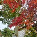 양평할머니경로당 이미지