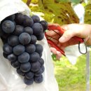 이수농장 이미지