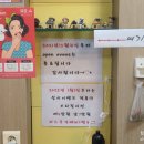 샵털마녀