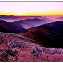 자연-이미지 이미지