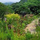 [2025년 연중 제15주일] 열매 없는 껍데기 신앙 이미지