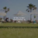 화평