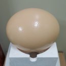 알로큰농장 이미지