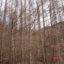 느릅나무민박 이미지