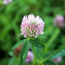 세창수지 이미지