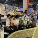 생생과학탐험 | 국립과천과학관 공룡 곤충 체험학습으로 아이와 함께하는 특별한 과학 탐험!