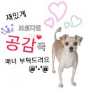 철산감자탕분점 | [경기도 광명시] 철산역 철산감자탕분점