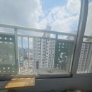 누구나쉼터 | ​[우리나무공방] 고양이 창틀 선반 후기! 아깽이 맞춤 고양이 창문 쉼터 해먹 설치