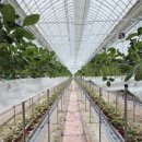 햇빛농장2 이미지