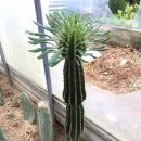 만악농장 이미지